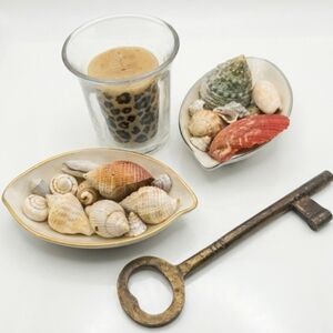 Leopard Print Candle Holder with Seashell Accents